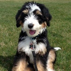 Meet your Posher, Connie